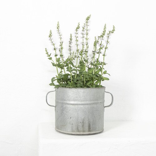 Metal Drum Tub
